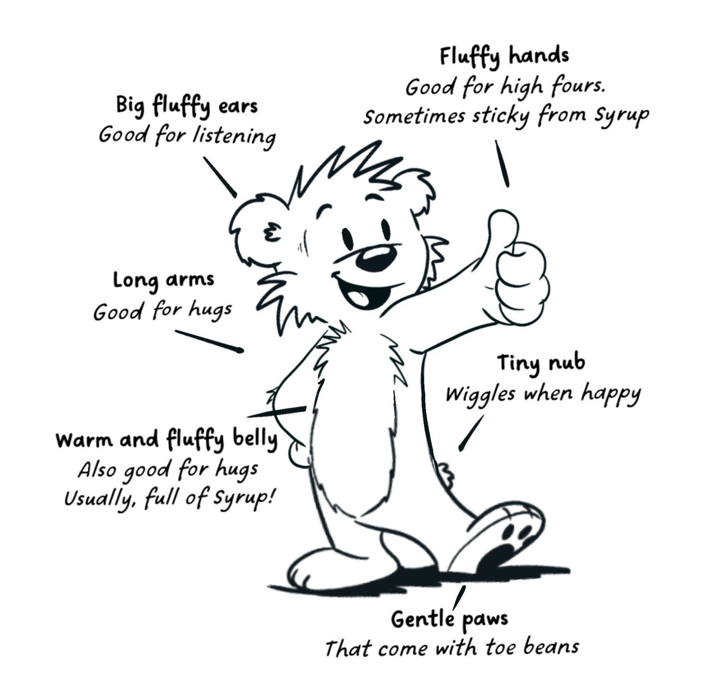 DerryBear anatomy (Illustration 1)