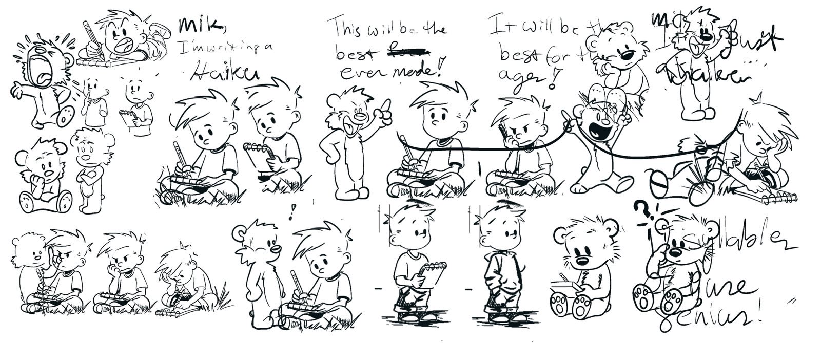 Reflections of a Comic Strip Artist